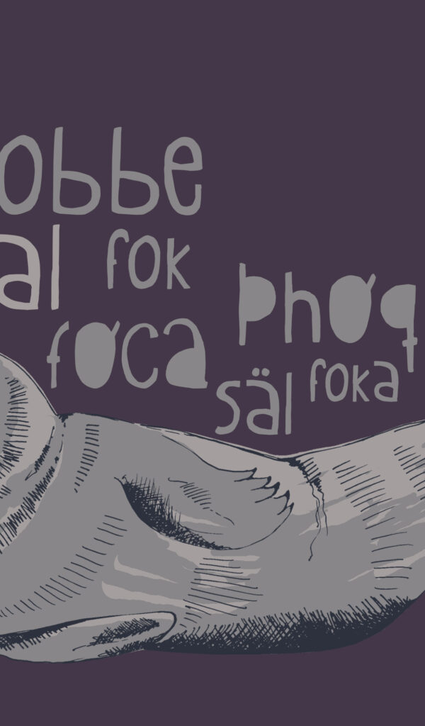 5_VinDic